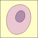 nucleus illustration