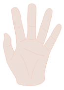 Hand illustration