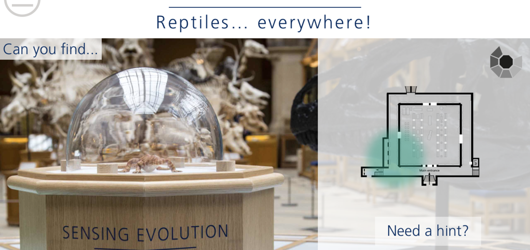 Sensing Evolution