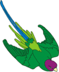 Parrot illustration